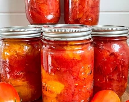 Best fresh tomato recipes for summer harvest top view