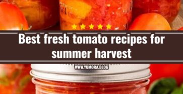 Best fresh tomato recipes for summer harvest