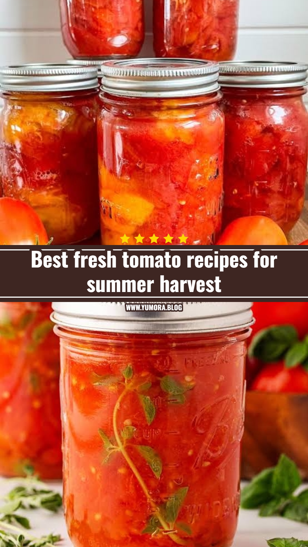 Best fresh tomato recipes for summer harvest