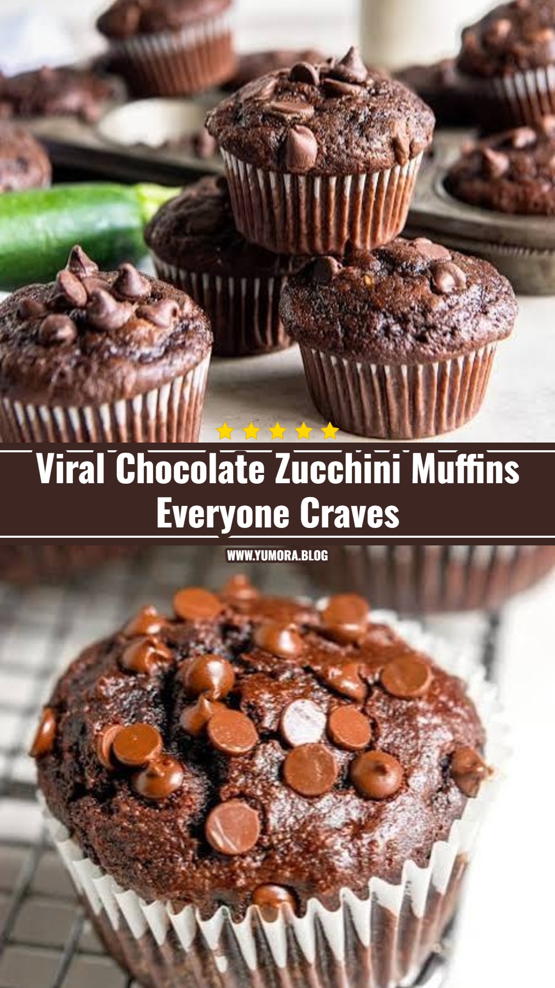 Healthy Chocolate Zucchini Muffins Everyone Loves
