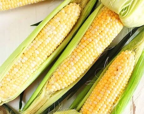 How to Freeze Corn on the Cob the Easy Way suggested serving