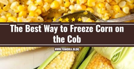 How to Freeze Corn on the Cob the Easy Way