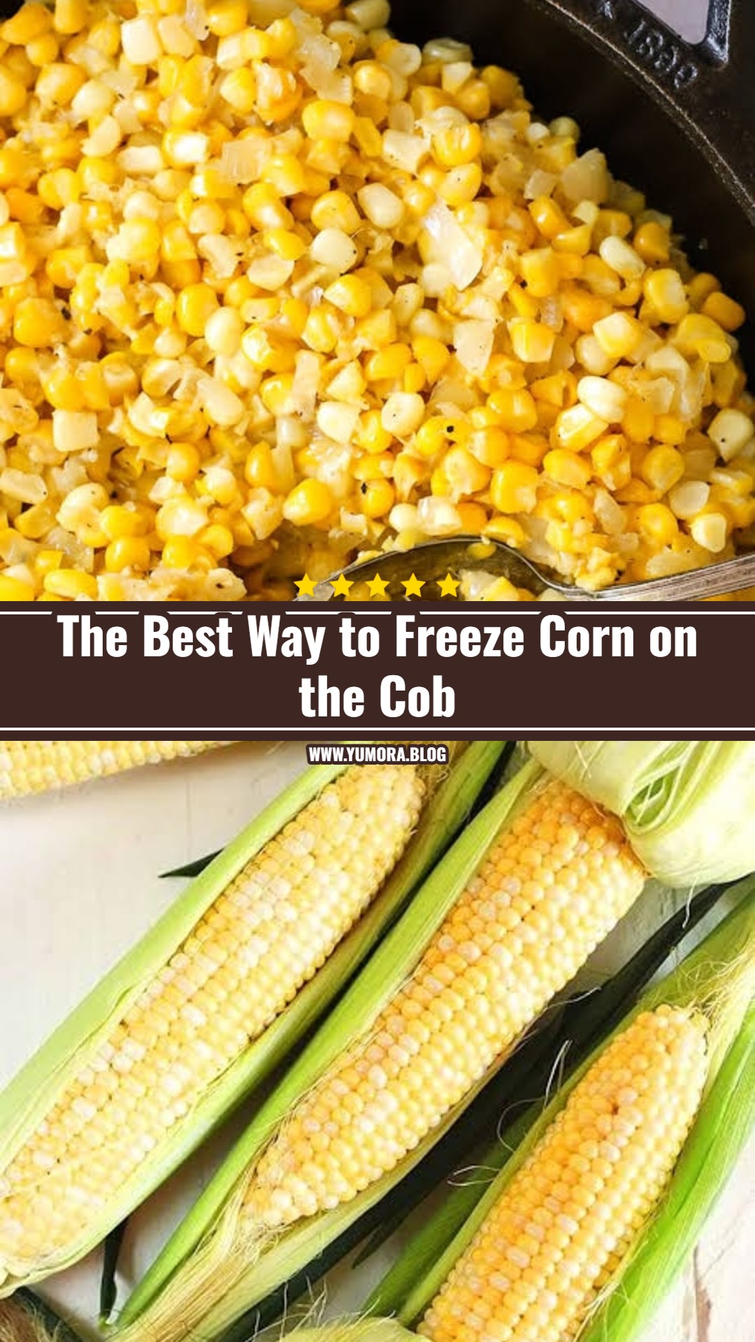 How to Freeze Corn on the Cob the Easy Way