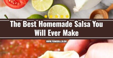 The Best Homemade Salsa You Will Ever Make