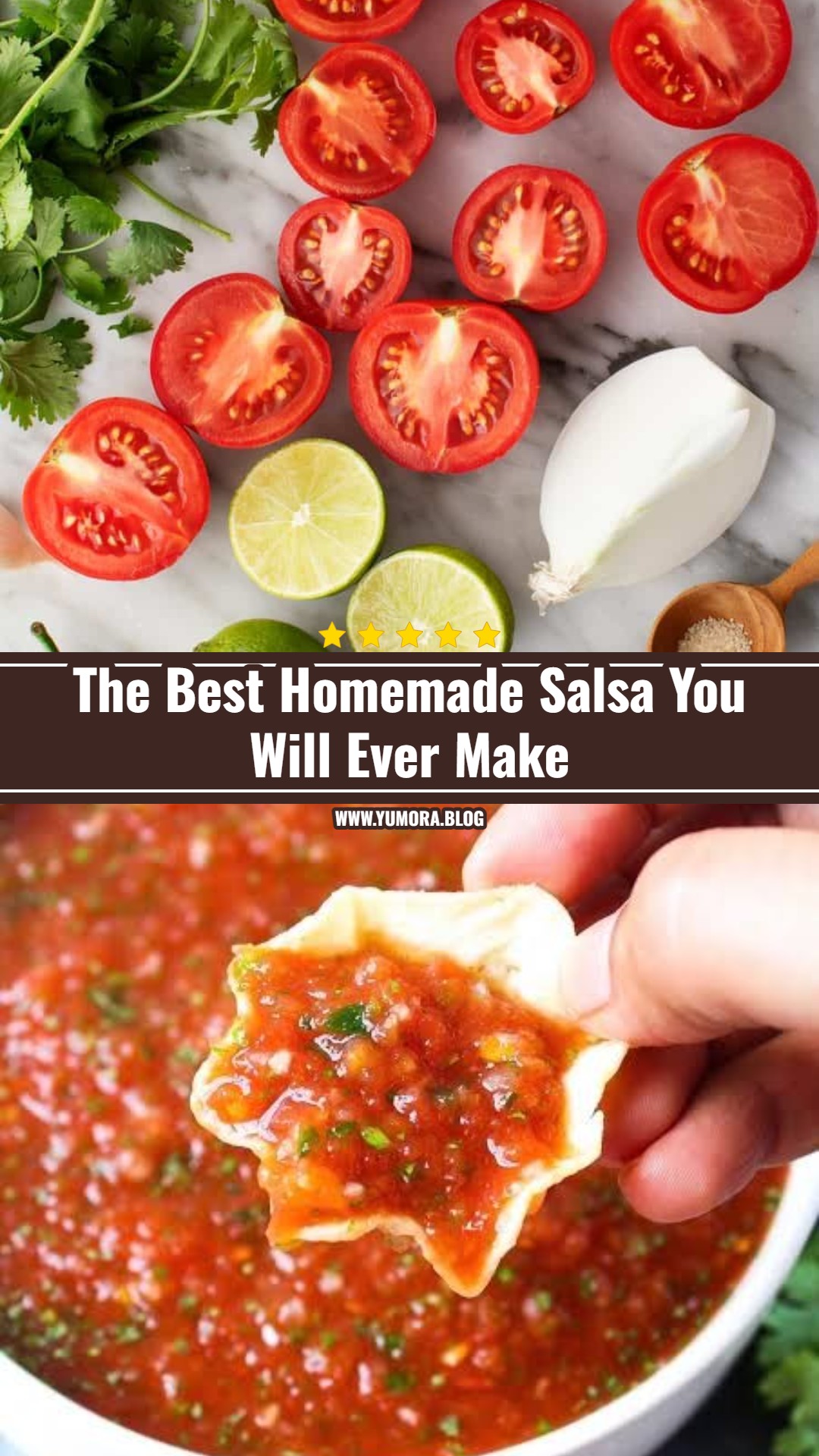 The Best Homemade Salsa You Will Ever Make