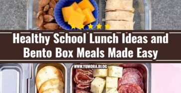 Bento Box Meals and Healthy School Lunch Ideas Kids Love