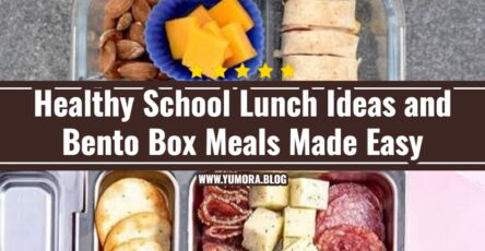 Bento Box Meals and Healthy School Lunch Ideas Kids Love