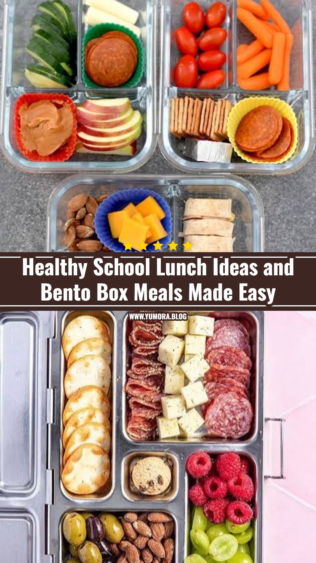Bento Box Meals and Healthy School Lunch Ideas Kids Love