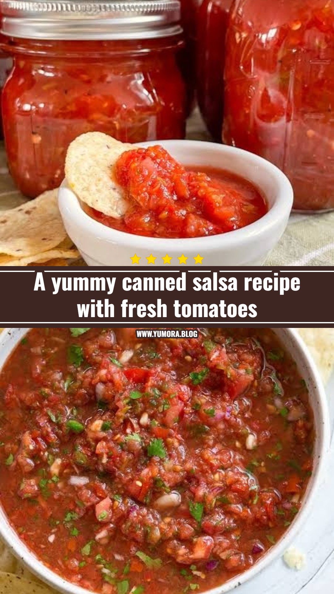 Best canned salsa recipe with fresh tomatoes