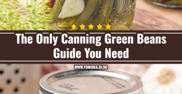 Easy Dilly Beans Recipe For Beginners