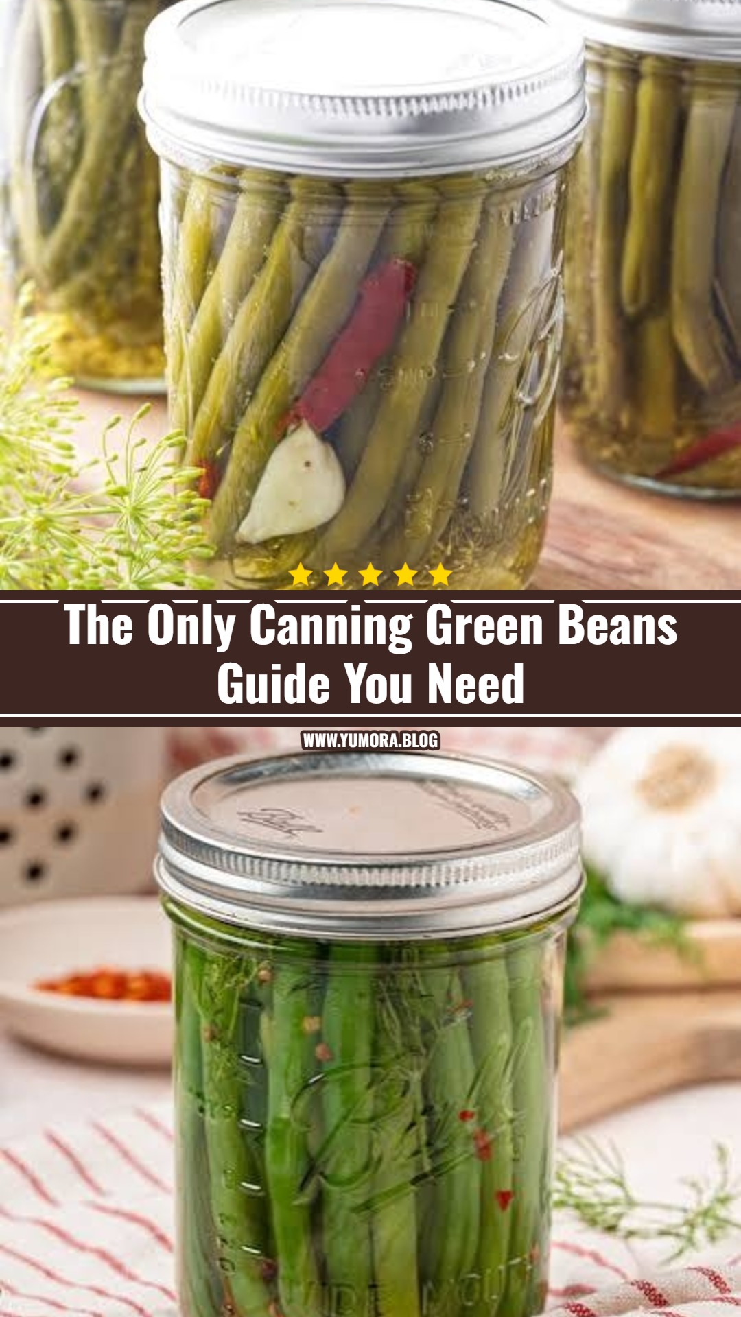 Easy Dilly Beans Recipe For Beginners