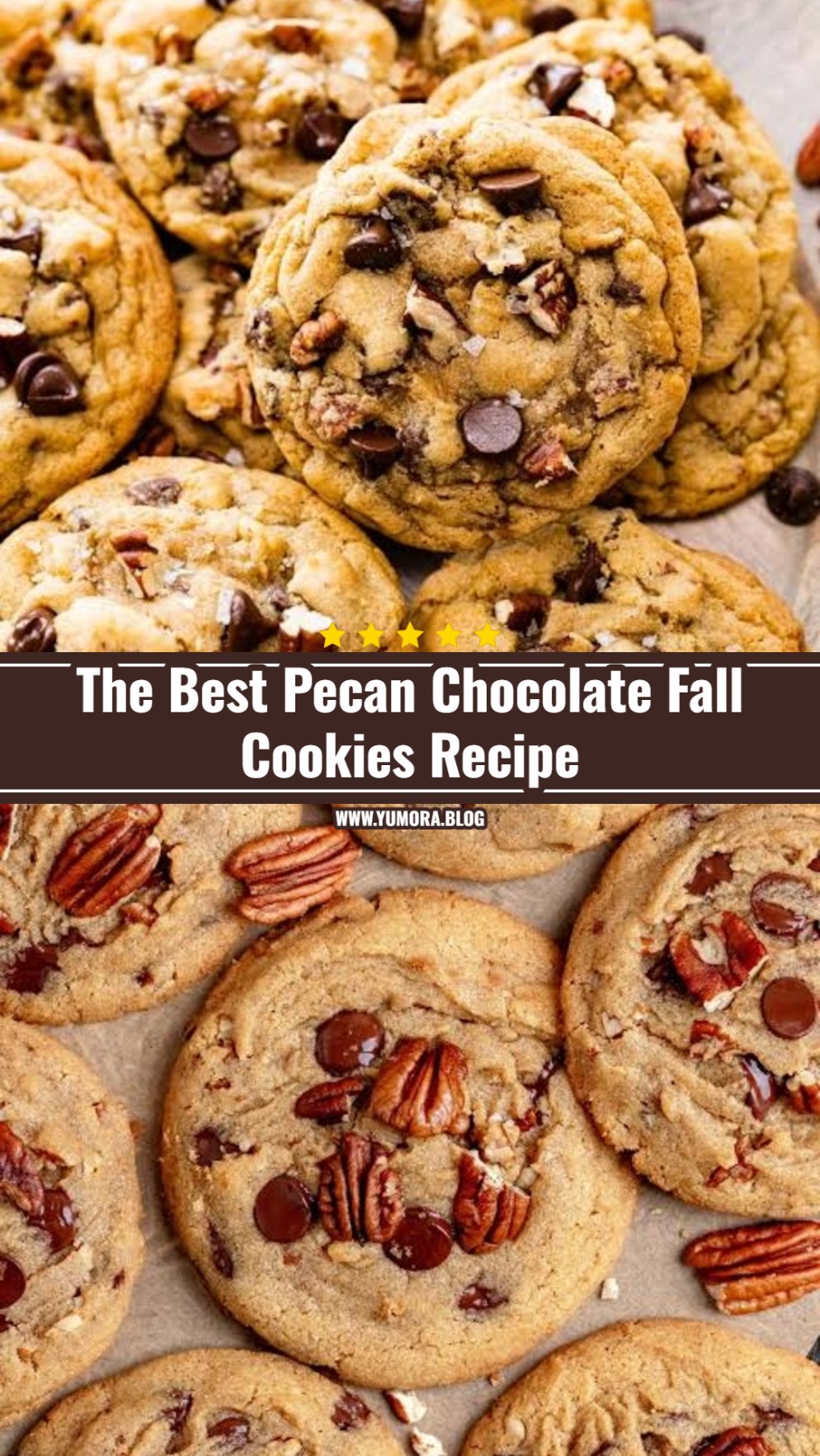 Easy Pecan Chocolate Fall Cookies Everyone Loves