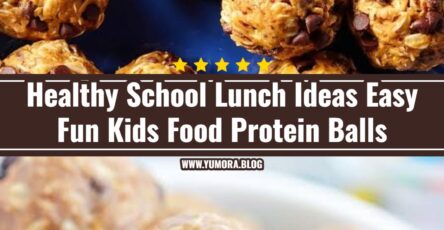 Healthy School Lunch Ideas Fun Kids Food Protein Balls
