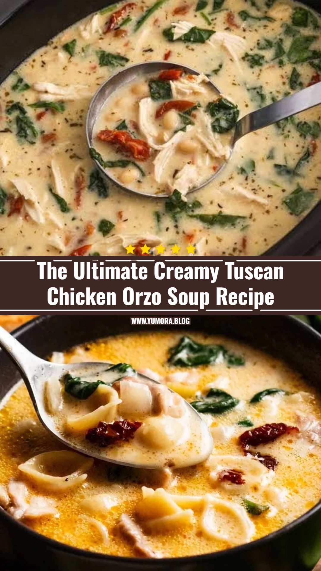 Cozy Creamy Crockpot Tuscan Garlic Chicken Orzo Soup